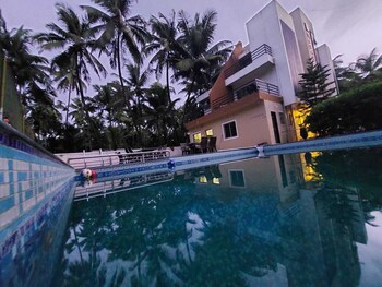 royal paradise hotel