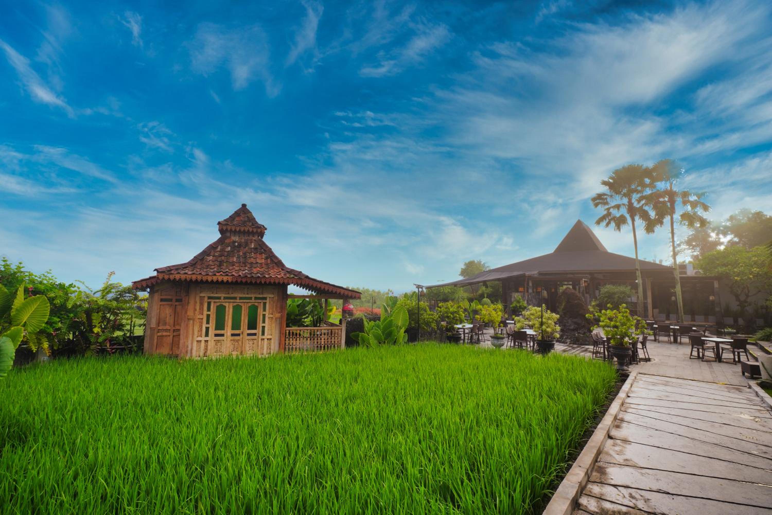 yogyakarta