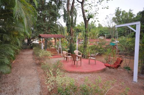 dapoli