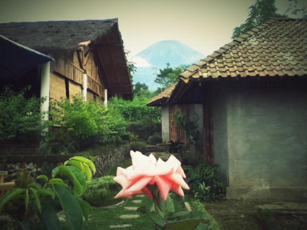 pondok bamboo sendangsari