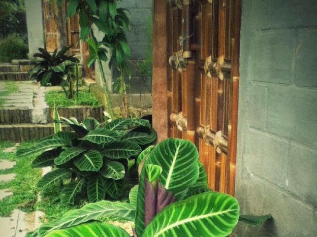 pondok bamboo sendangsari