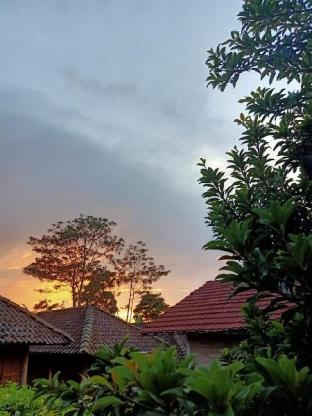 pondok bamboo sendangsari