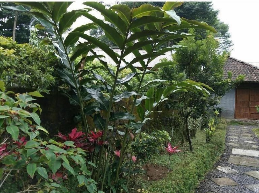 pondok bamboo sendangsari