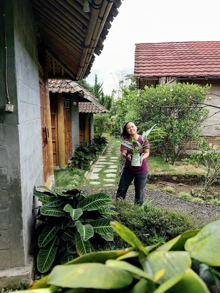 pondok bamboo sendangsari