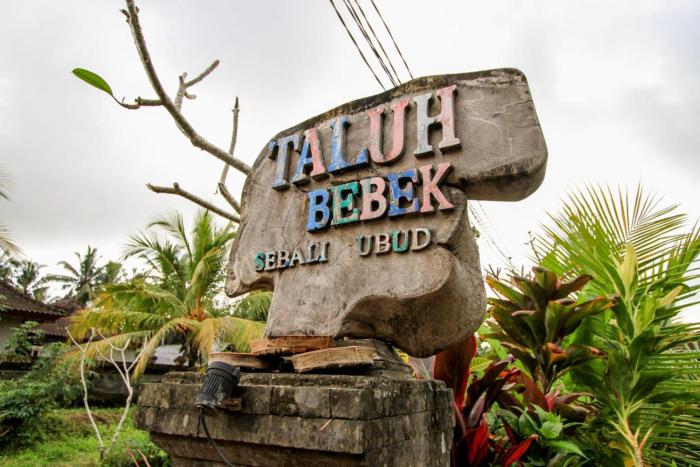 taluh bebek ubud private villas