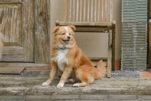 taluh bebek ubud private villas