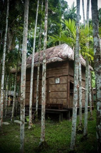 havelock island