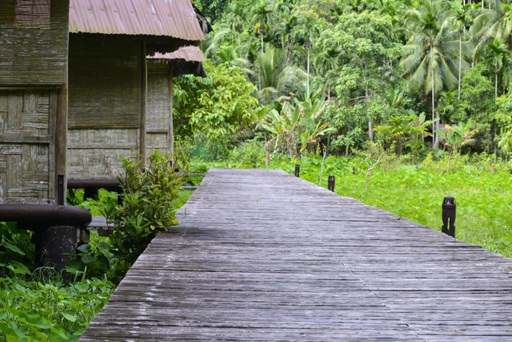 havelock island