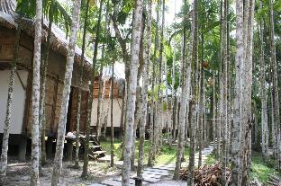 havelock island