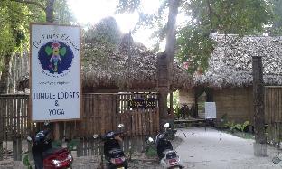 havelock island