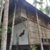 havelock island