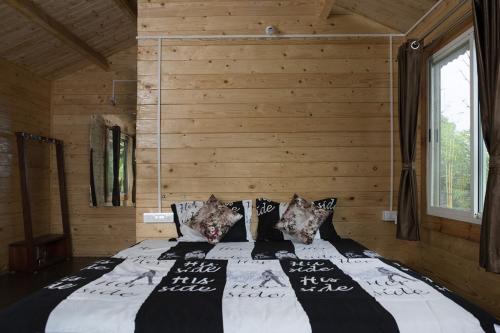 trippr chikkamagaluru