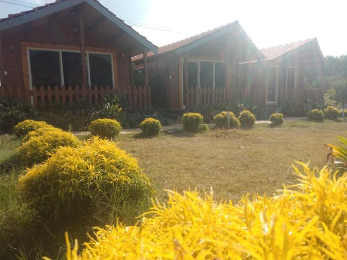 trippr chikkamagaluru