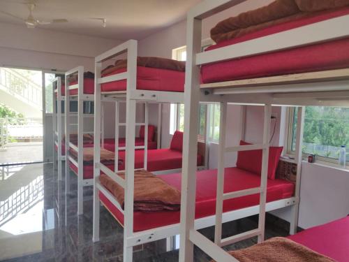 trippr chikkamagaluru