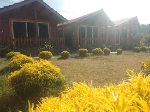 trippr chikkamagaluru