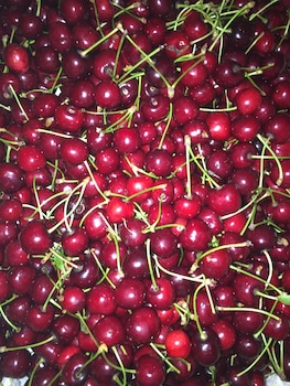 montecchia di crosara