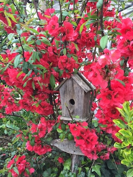 montecchia di crosara