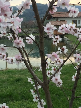 montecchia di crosara