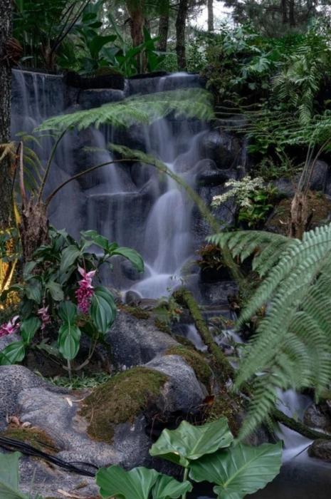 taman wisata bougenville