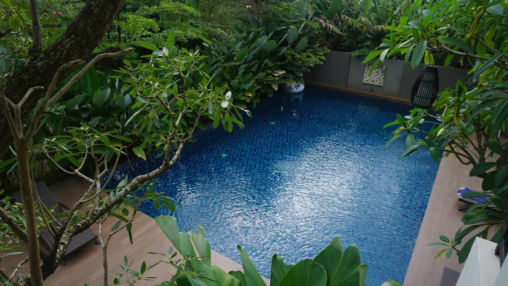 doho homestay
