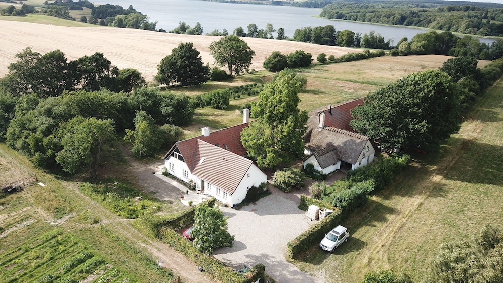 fuglebjerg