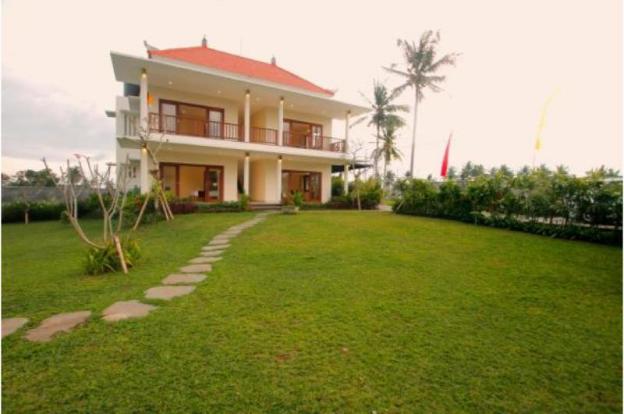 d lobong suite