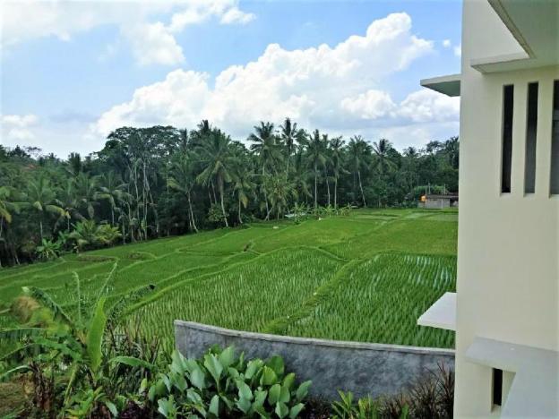 d lobong suite