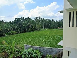 d lobong suite