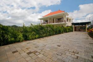 d lobong suite