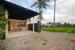 d lobong suite