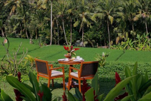 d lobong suite