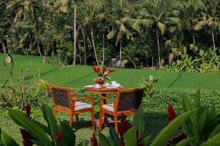 d lobong suite