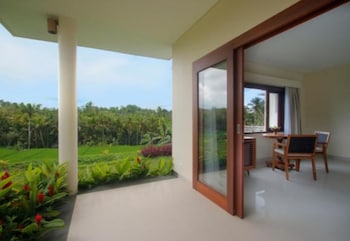 d lobong suite
