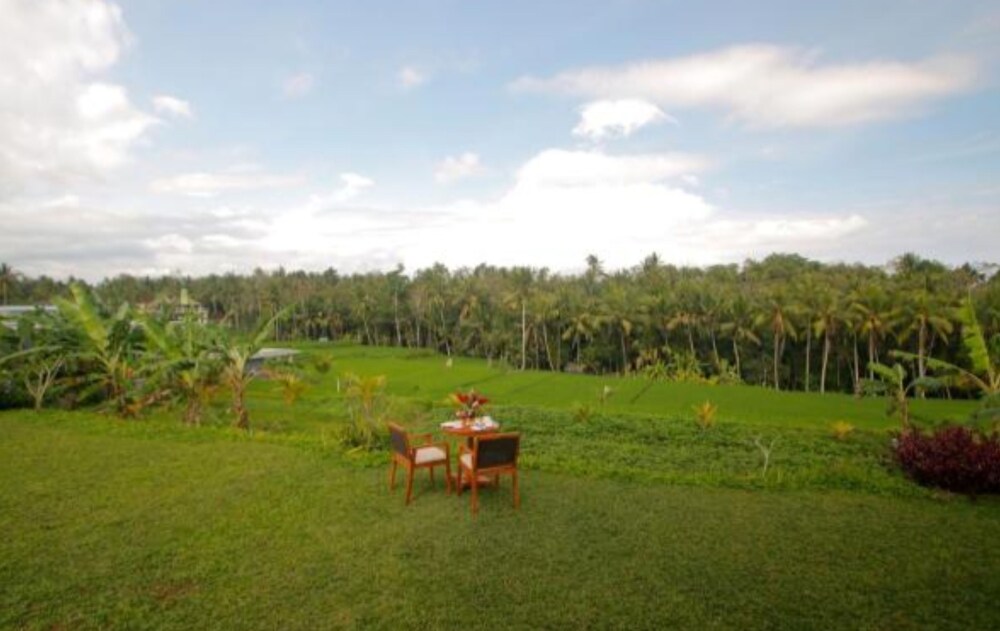 d lobong suite