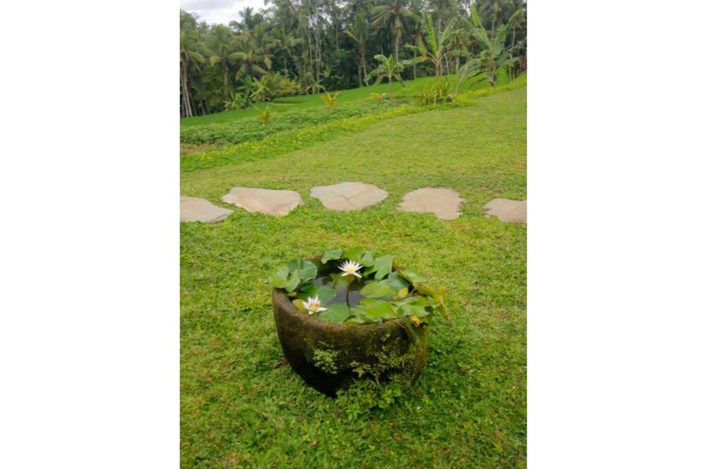 ubud