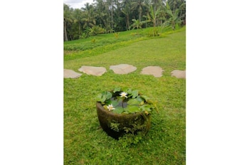ubud