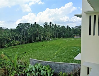 d lobong suite