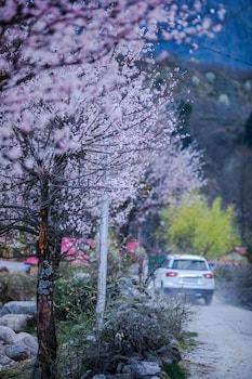 winterfell the stay unique river front resort