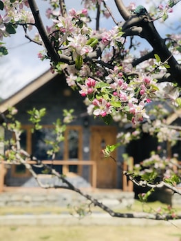 winterfell the stay unique river front resort