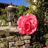 leucadia beach inn