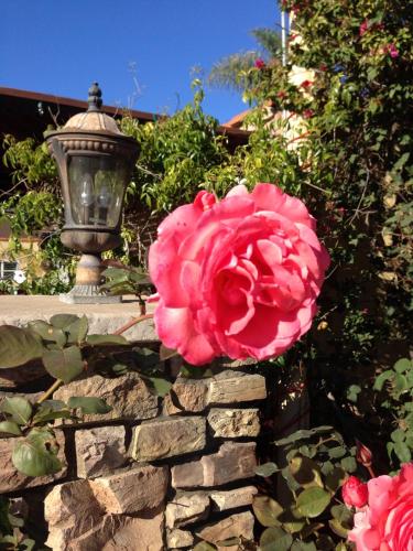 Leucadia Beach Inn,San Diego>>Encinitas,3 star