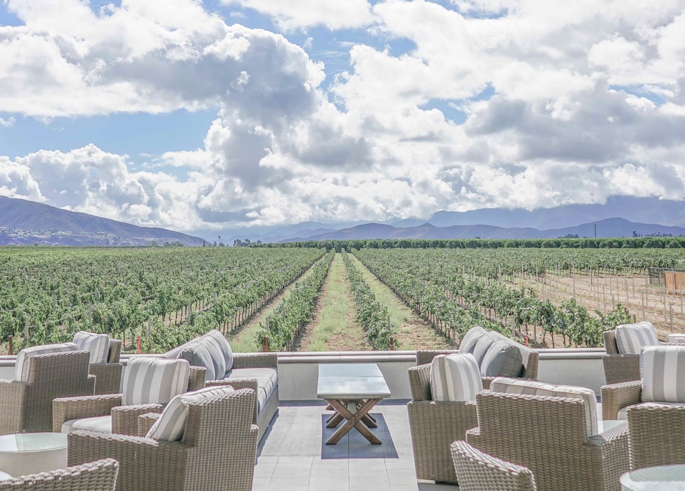ponte vineyard inn