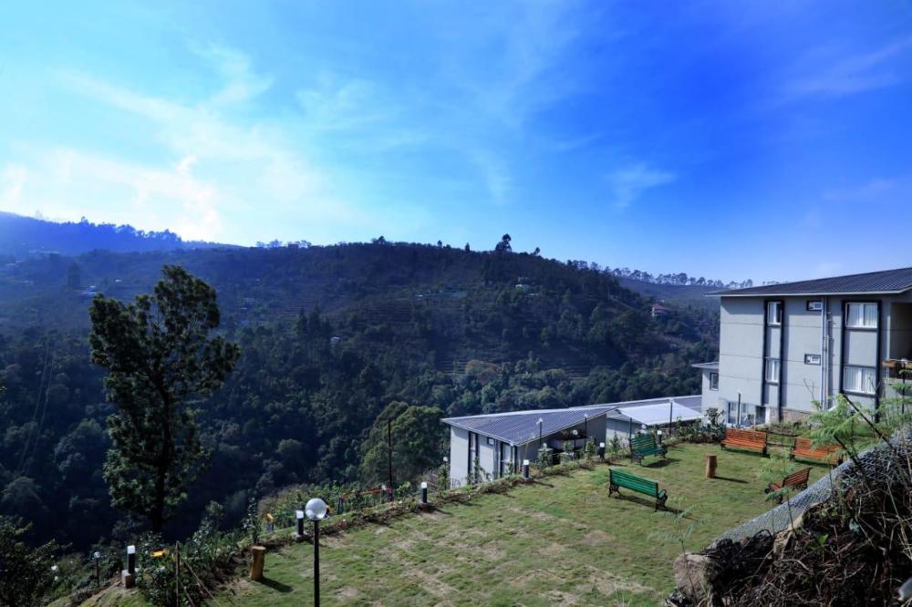 cherry blossom homestay