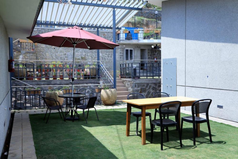 cherry blossom homestay