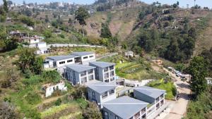 cherry blossom homestay