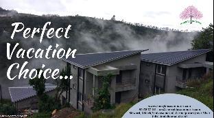cherry blossom homestay