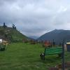 cherry blossom homestay