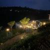 cherry blossom homestay