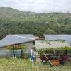 cherry blossom homestay