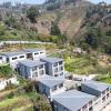 cherry blossom homestay